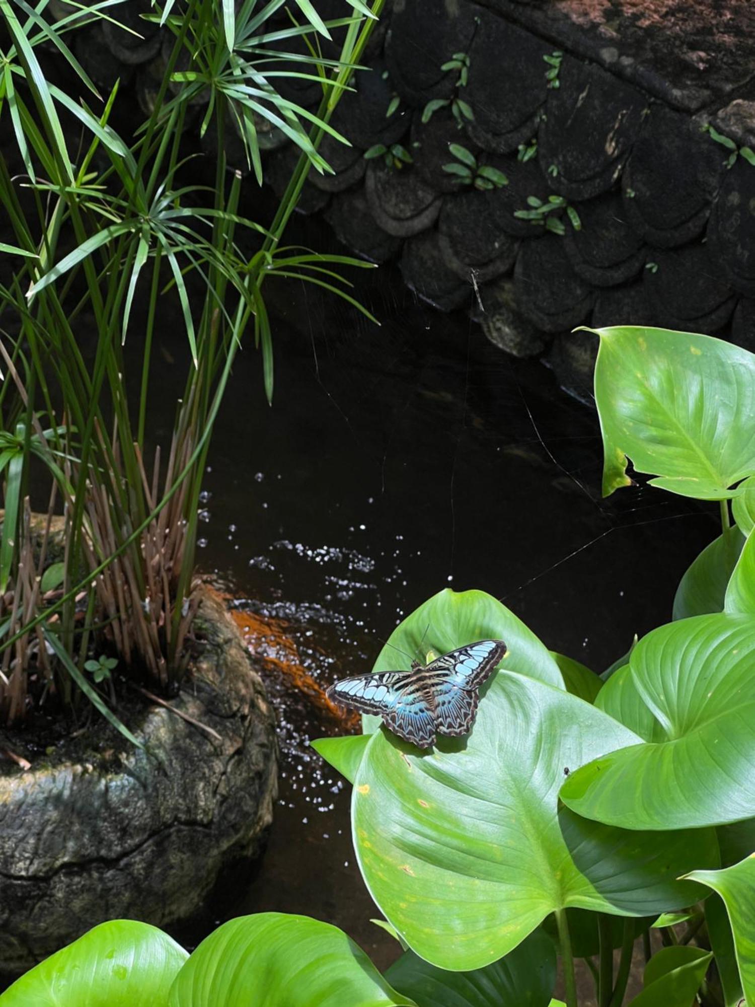 Baan Ton Rak Boutique Resort Ko Čang Exteriér fotografie