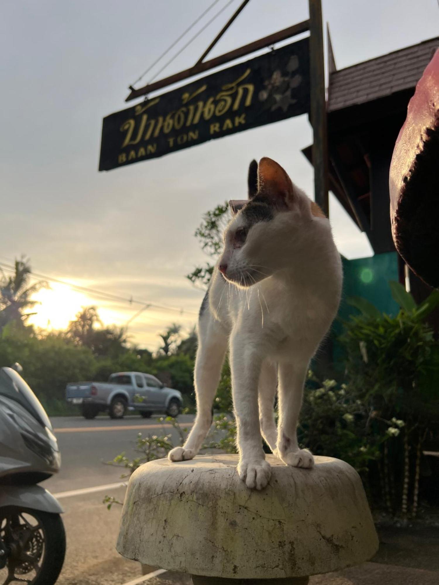 Baan Ton Rak Boutique Resort Ko Čang Exteriér fotografie